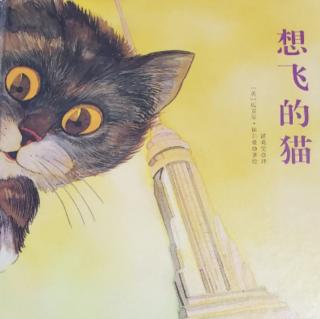 《想飞的猫》