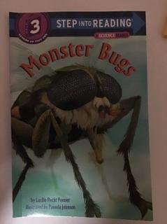 兰登3-Monster Bugs(2)
