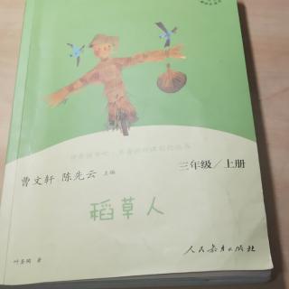 《 稻草人 》