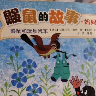 593.夏天和妈妈→鼹鼠的故事«鼹鼠和玩具汽车»