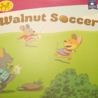 WALNUT SOCCER (核桃足球)