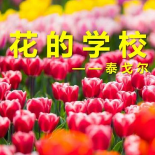 《花的学校》泰戈尔