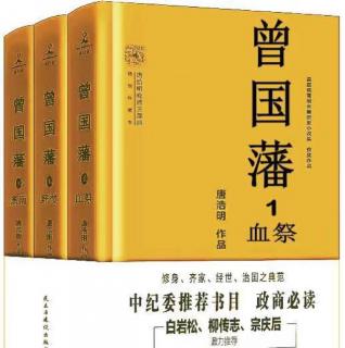 曾国藩 第一部 血祭 第八章  田镇大捷  2  