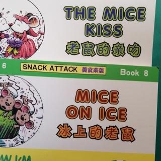 自拼绘本《THE  MICE  KISS》《MICE  ON  ICE》