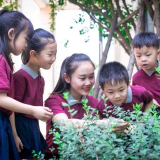 史长鑫纲要学习