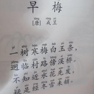 早梅柳宗元图片