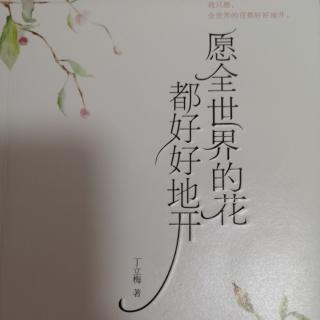 《愿全世界的花都好好地开》之17《做了一回小贼》