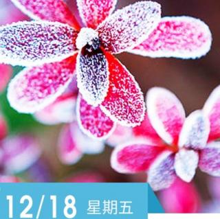 《羊皮卷之六》12.18