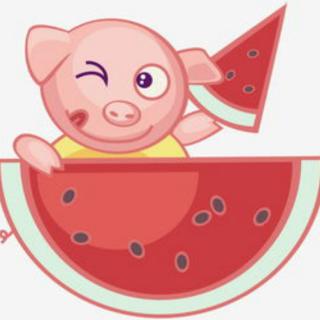 小猪吃西瓜🍉