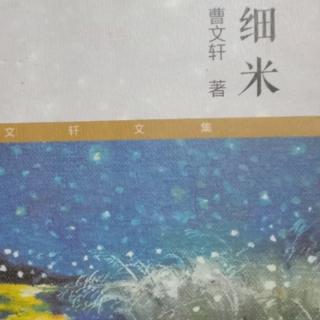 细米《我家姐姐是花一朵》    三