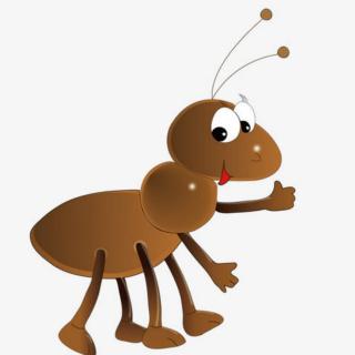 蚂蚁会发出声音吗？