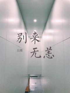 《别来无恙》96 12250316