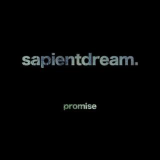 Promise-Sapientdream