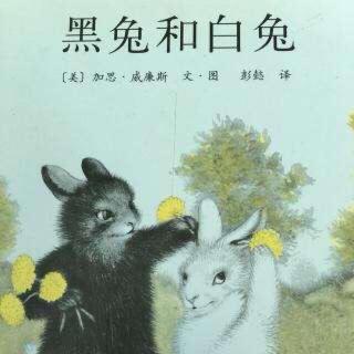 红十一幼晚安故事--《黑兔和白兔》