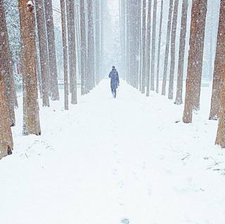 足迹……沐之