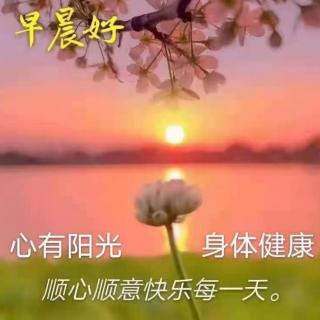 喀纳斯早安心语（12.20）