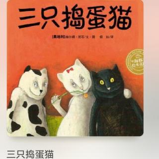 童乐幼儿园晚安🌙故事
《三只捣蛋猫🐱》