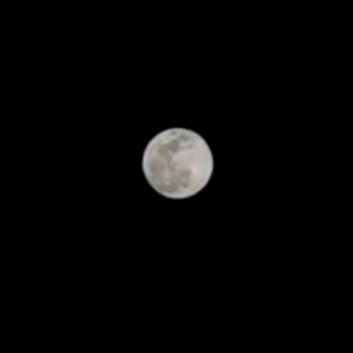 月亮啊月亮