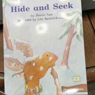 Hide  and  Seek.