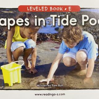 RAZ LevelE 803 - Shapes in Tide Pools