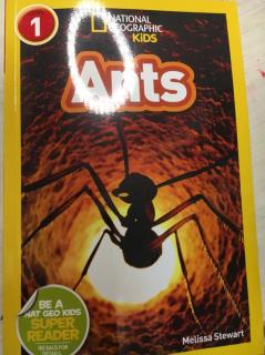 Ants-Sonya-201220