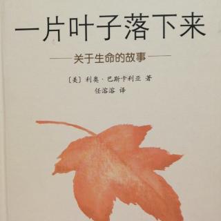 一片叶子落下来