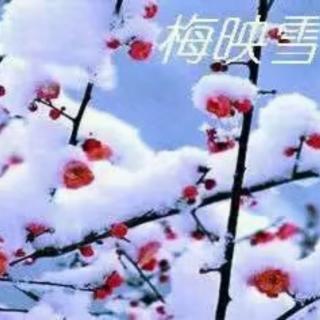 《梅雪相依一路芬芳》作者龙凰/主播柔顺谦卑 雪儿