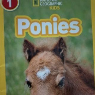 Ponies