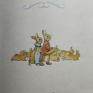 姥姥讲故事《弗洛浦茜的小兔子的故事》