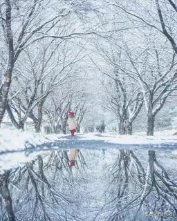 美文鉴赏《下雪的声音》金波-Aimee