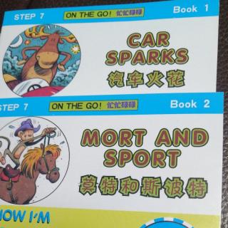 自拼绘本（CAR SPARKS/MORT AND SPORT）