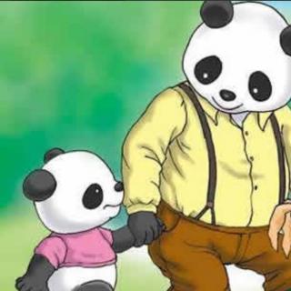 《爸爸不是大熊猫》