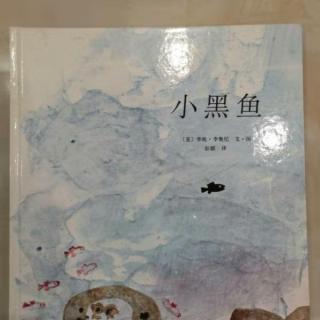 小黑鱼