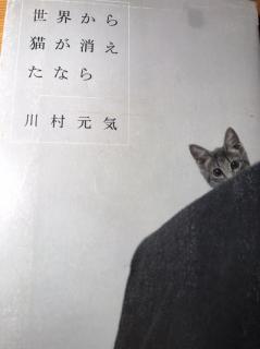 世界から猫が消えたなら(川村元気)〜前書き
