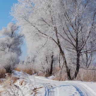 你那里下雪了吗（男）6