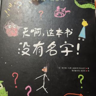 天啊，这本书没有名字