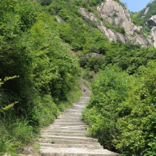 《在那山道旁》