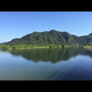 西沙群岛的海鸟