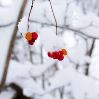 雪🌨️