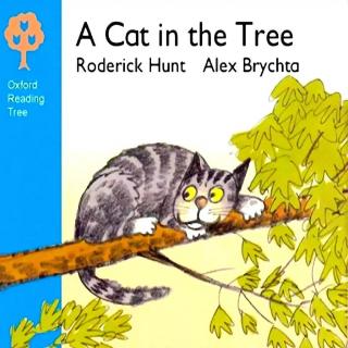 仔仔睡前双语故事 A cat in the tree(1)