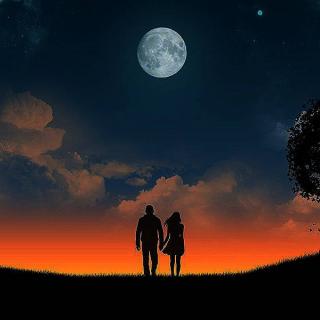 我想和你手牵手在夕阳下散步