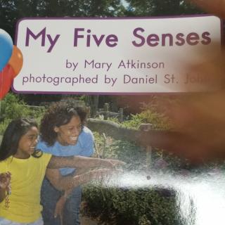 My  FiveSenses