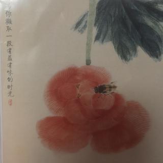 读书当有光芒