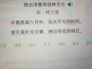 晓出净慈寺送林子方 宋 杨万里