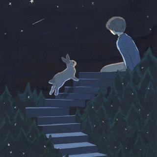 晚安语音—小兔子的童话