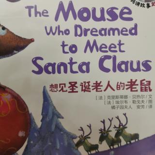 想见圣诞老人的老鼠