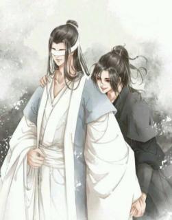 魔道祖师 第40章 草木（8）霜血