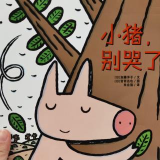 小猪别哭了