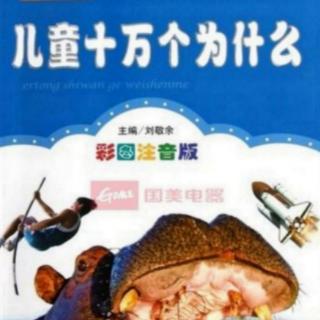 【儿童十万个为什么】158为什么冬至这天要吃饺子？