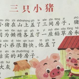 妞妞讲故事《三只小猪》